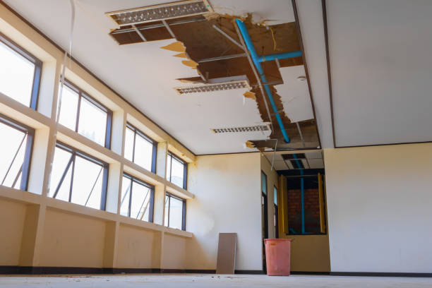 Best Water damage restoration near me  in San Juan, TX