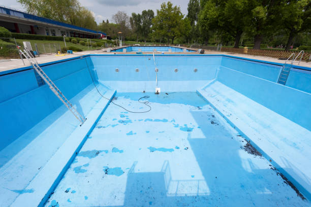 Best Professional water damage repair  in San Juan, TX