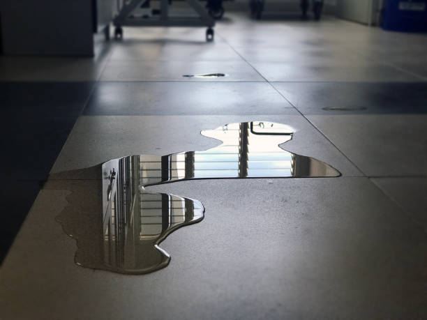 Best Local water damage restoration  in San Juan, TX