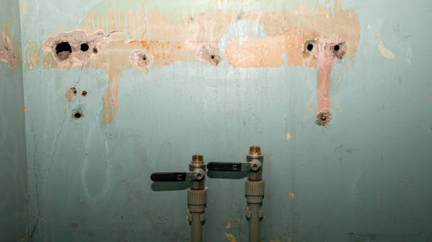 Water damage restoration experts in San Juan, TX