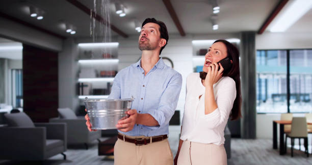 Best Professional water damage repair  in San Juan, TX